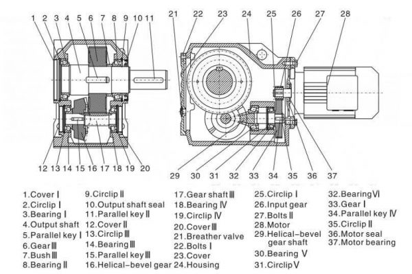 K Series Helical Bevel Geared Motor Flying Drive One Stop Power Transmission Expert For